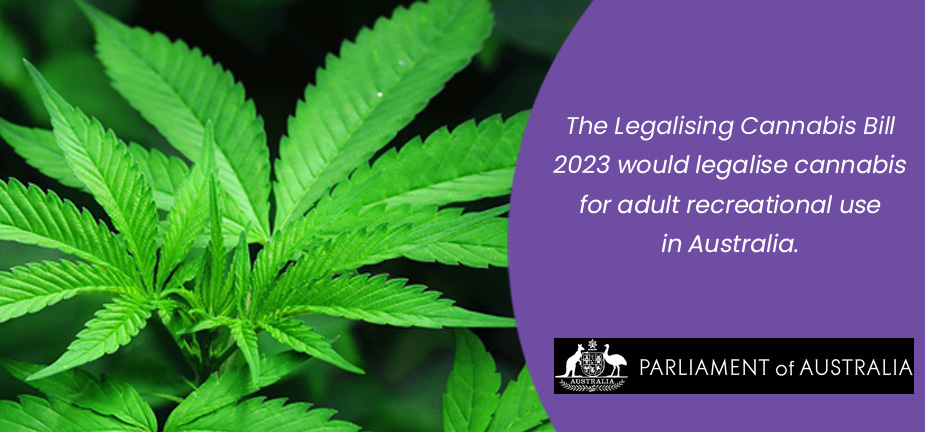 Legalising Cannabis Bill 2023 lodge submission details