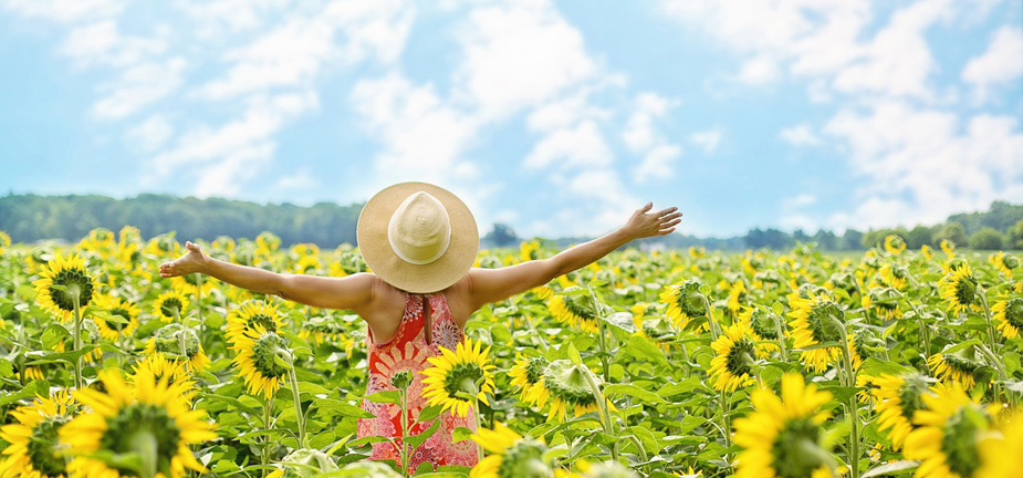 Woman standing with arms out stretched in a sunflower field