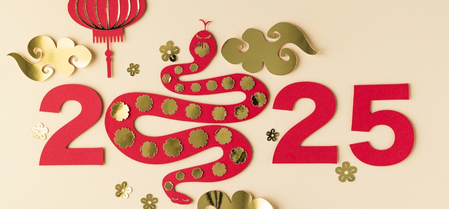 Happy Lunar New Year! - Gong hei fat choy!