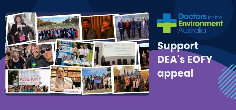 Support DEA's EOFY appeal notice